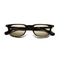 Novis / Tortoise & Green Lens